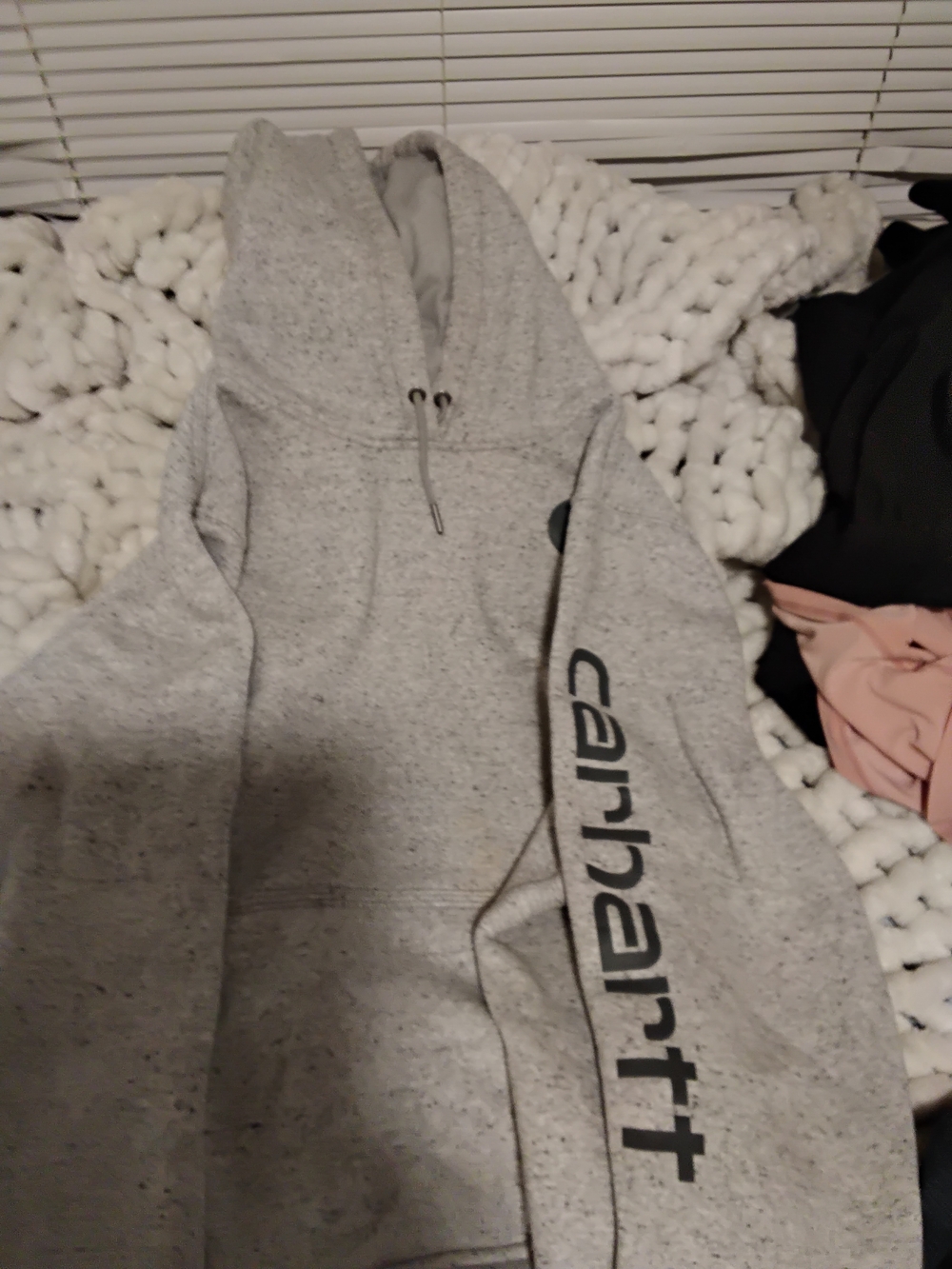 Carhartt Light Gray Pullover Hoodie with Sleeve Print